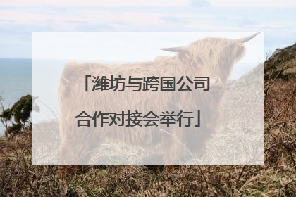 潍坊与跨国公司合作对接会举行